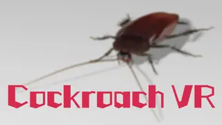 Cockroach VR