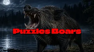 Puzzles Boars