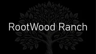 C.A.S.H. - Commerce And Stealthy Heists