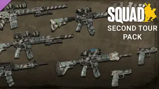 Squad Weapon Skins - Second Tour Pack