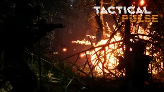 Tactical Pulse
