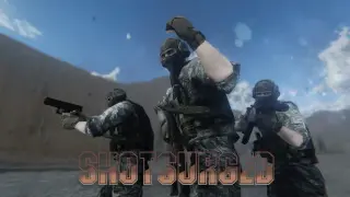 ShotSurged