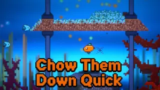 Chow Them Down Quick
