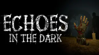 Echoes in the Dark