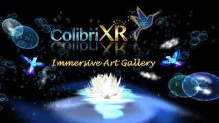 Colibri XR Immersive Art Gallery