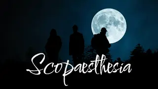 Scopaesthesia