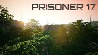 PRISONER 17