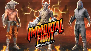 VR Fighting Mania