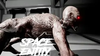 Space Entity