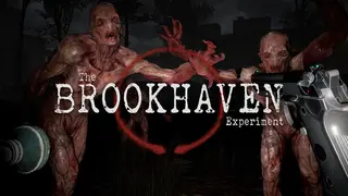 The Brookhaven Experiment