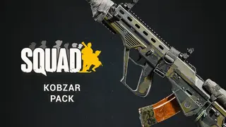 Squad Weapon Skins - Kobzar Pack