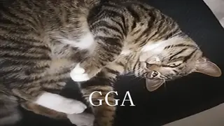 GGA