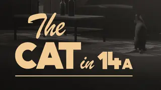 The Cat in 14a