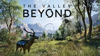 Beyond The Valley