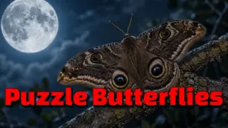 Puzzle Butterflies