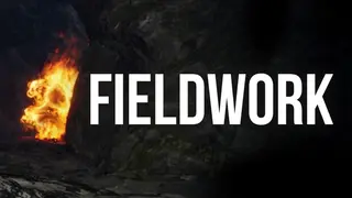 Fieldwork