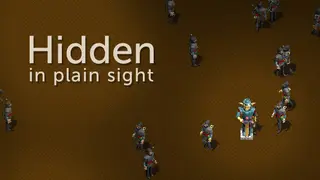Hidden in Plain Sight