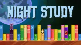 Night Study