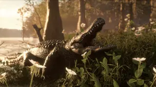 theHunter: Call of the Wild - Mississippi Acres Preserve - PS4
