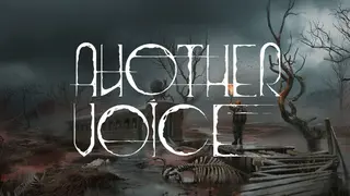 ANOTHER VOICE