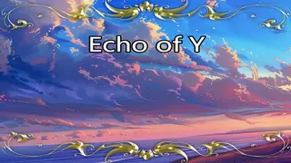Echo of Y