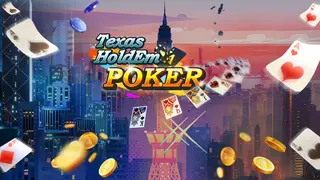 Texas HoldEm POKER