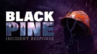 Black Pine: Incident Response