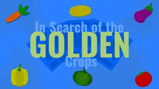 In Search of The Golden Crops