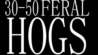 30-50 Feral Hogs