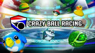 Crazy Ball Racing