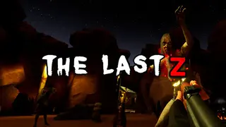 The Last Z VR