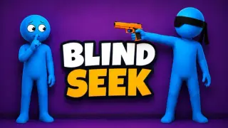 Blind Seek