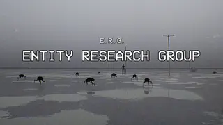 Entity Research Group