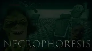Necrophoresis