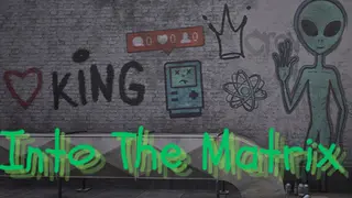 Into The Matrix