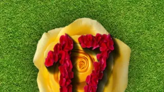 Clutter 17 Flower Power Collector's Edition - Switch
