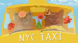 NYC TAXI