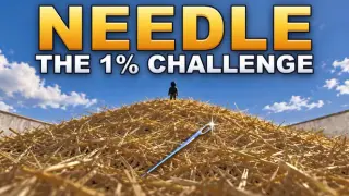 Needle: The 1% Challenge