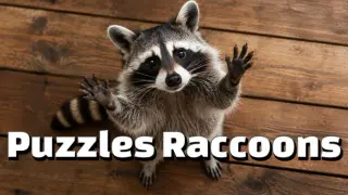 Puzzles Raccoons