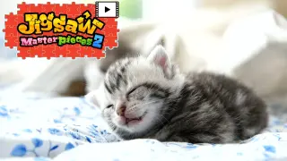 [Moving] Fluffy Kittens - Switch