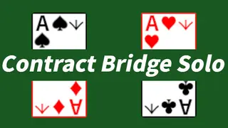 Contract Bridge Solo