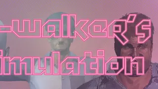 P-Walker's Simulation