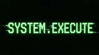System.Execute
