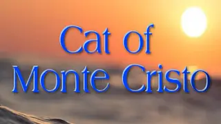 Cat of Monte Cristo
