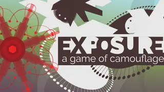 EXPOSURE, a game of camouflage