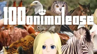100animalease - Switch