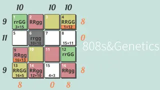 808s&Genetics