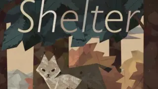 Shelter Generations - Switch