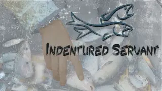 Indentured Servant