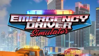 Emergency Driver Simulator - Switch